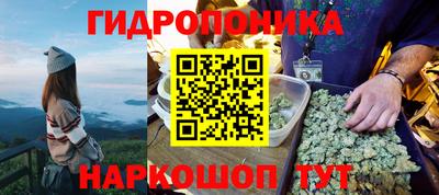 трава Малгобек