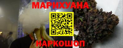 индика Лесосибирск