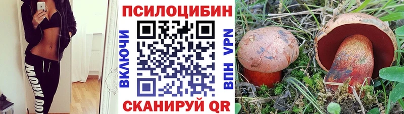 Псилоцибиновые грибы прущие грибы  наркотики  Горячий Ключ 
