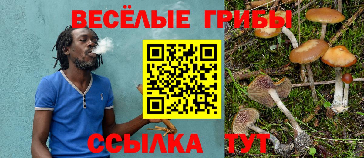 МЕФ кристаллы  Гашиш  Гашиш  Горячий Ключ  Конопля  Cocaine  НБОМе  Вход с VPN  Продажа наркотиков  Лсд 25 